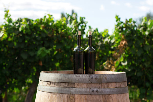 A Guide to Wine Tours in Ontario: Exploring Niagara, Prince Edward County, and Beyond