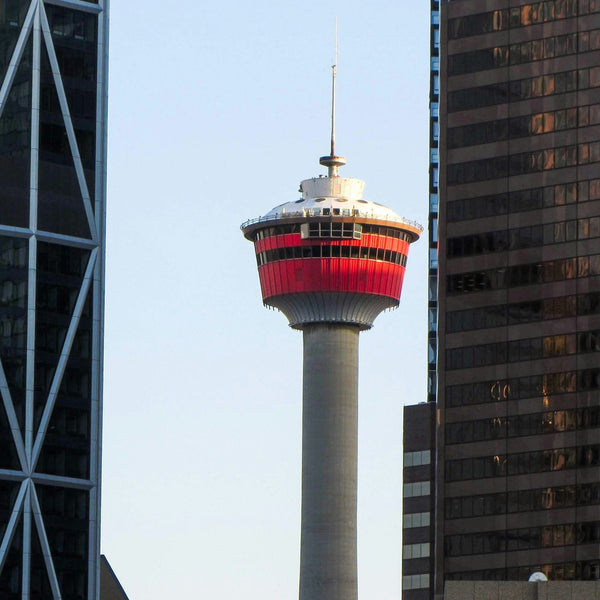 Calgary Tower Tour